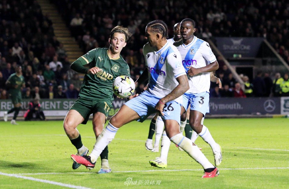 他们在未来 他们在未来